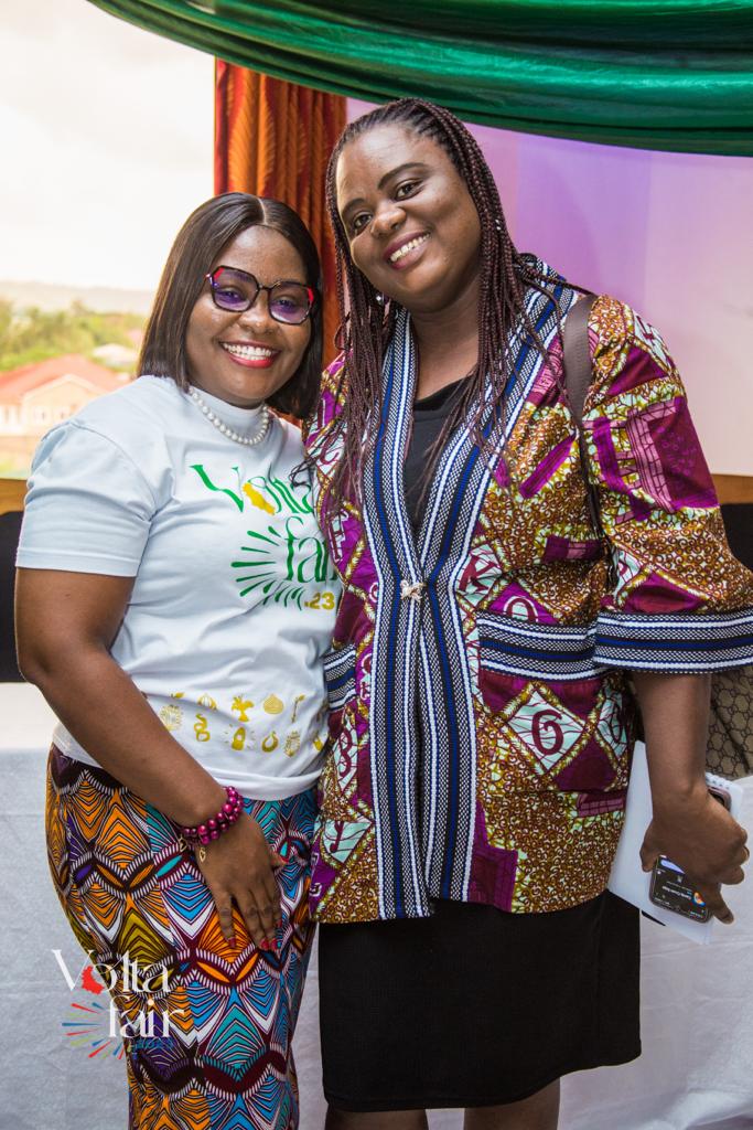 Volta Fair Image