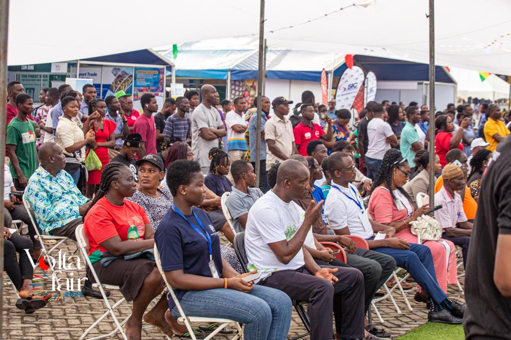 Volta Fair Image