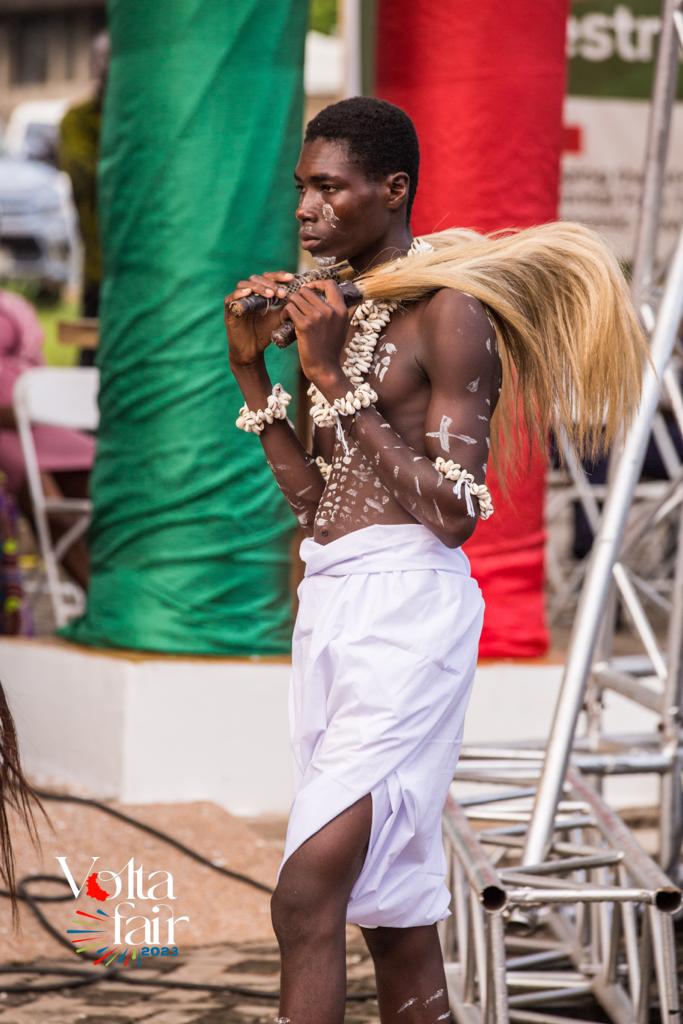 Volta Fair Image