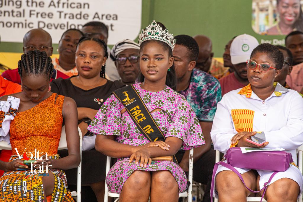Volta Fair Image