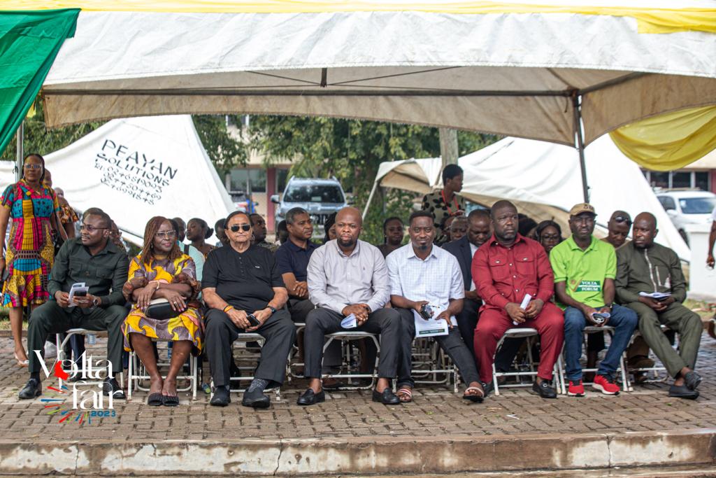 Volta Fair Image